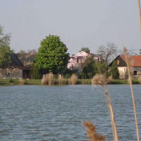 Vila Madams - Palic-Serbia Esterno foto