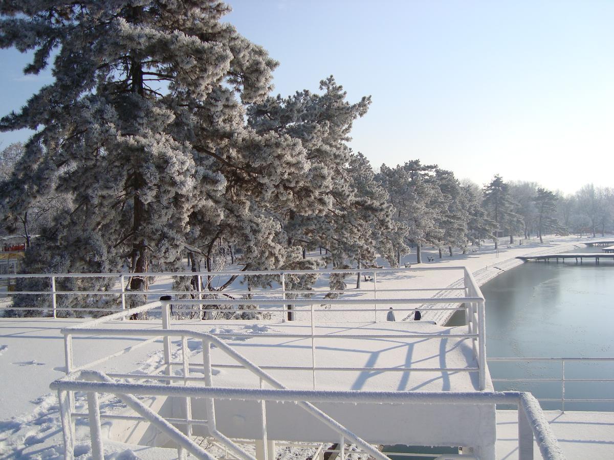 Vila Madams - Palic-Serbia Esterno foto