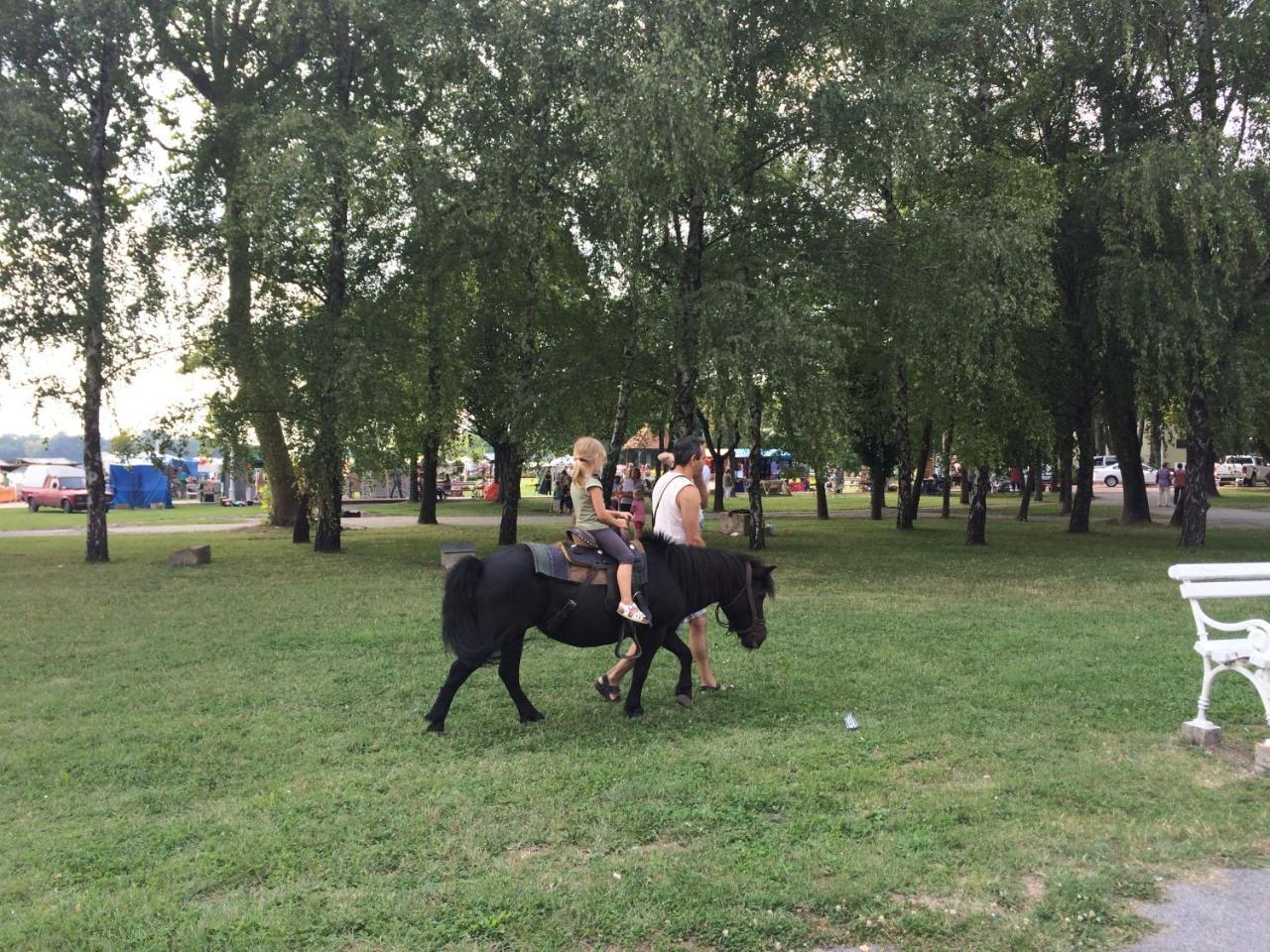 Vila Madams - Palic-Serbia Esterno foto